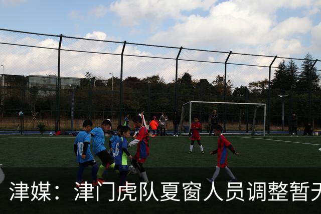 津媒：津门虎队夏窗人员调整暂无定论，石炎拉伤不能参与合练